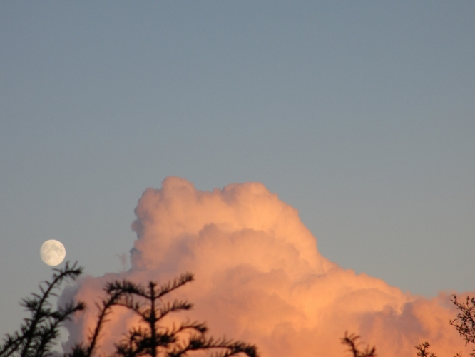 Bergen, 27 - 10 - '12
