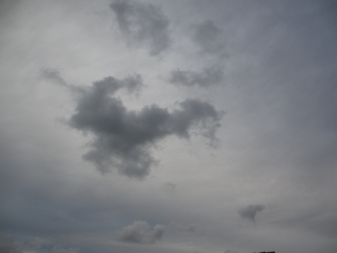 Zondagochtend, 18-11-'12
