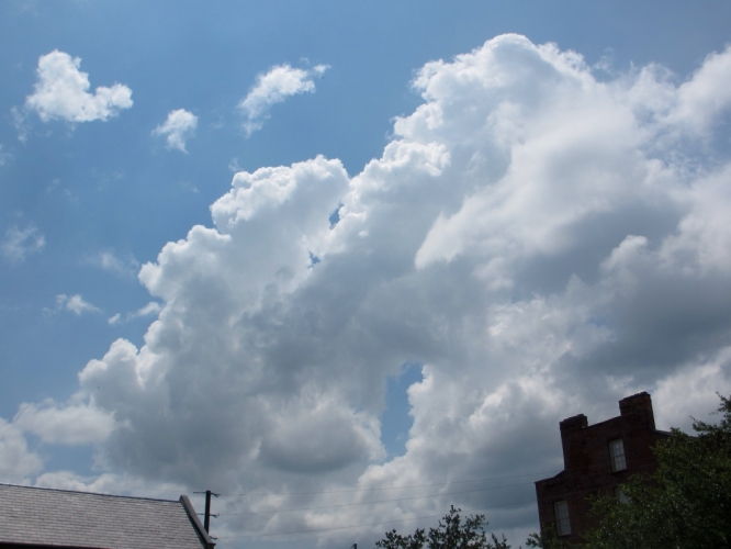 17 - 7 - '13, Savannah
