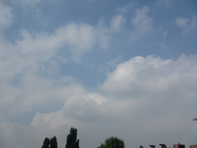 4 - 8 - '13, Apollolaan hoek Hilton hotel.
