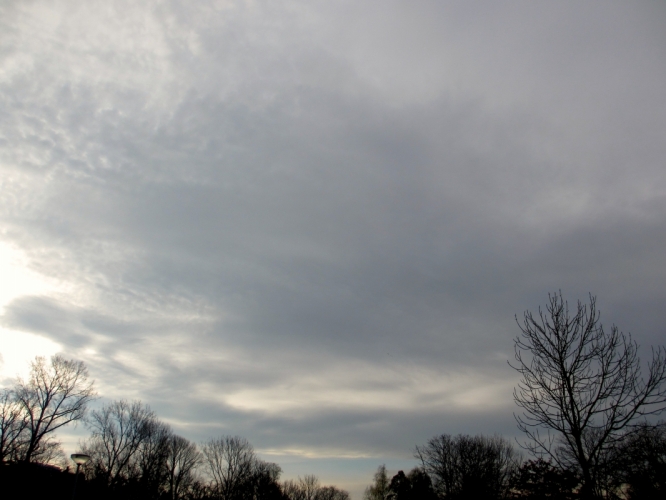 21 - 11 - '12, Vondelpark.
