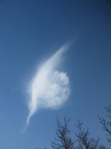 Bergen, 7 - 3 - '14.
