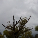 2011-10-19_14_56_04.jpg