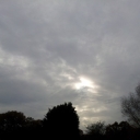 2011-11-03_10_57_38.jpg