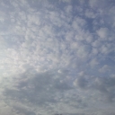 2012-02-23_09_27_04.jpg