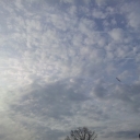 2012-02-23_09_27_29.jpg