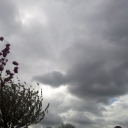 2012-04-26_09_57_24.jpg
