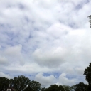 2012-06-01_12_03_35.jpg