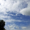 2012-06-01_12_23_54.jpg
