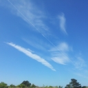 2012-06-02_12_06_20.jpg