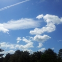 2012-06-02_12_06_28.jpg
