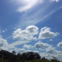 2012-06-02_12_13_28.jpg