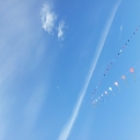 2012-06-02_12_31_45.jpg