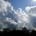 2012-07-29_11_22_34-1.jpg