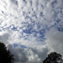 2012-08-06_09_59_47.jpg