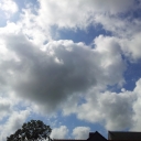 2012-08-08_12_12_17.jpg
