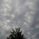 2012-08-15_19_45_14.jpg