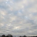 2015-12-2.JPG