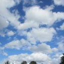 2015-5-6.JPG