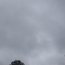 2015-7-15.JPG