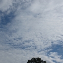 2015-8-12.JPG