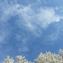 20150318_103048.jpg