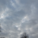 2015_-_11_-_11.JPG