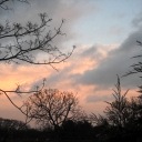 DSCN5039.JPG