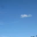 IMG_0005.JPG