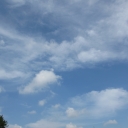 IMG_4007.JPG