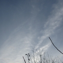 IMG_5795.JPG