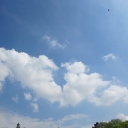IMG_6687.JPG