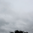 IMG_7675.JPG