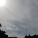 P7010129.JPG