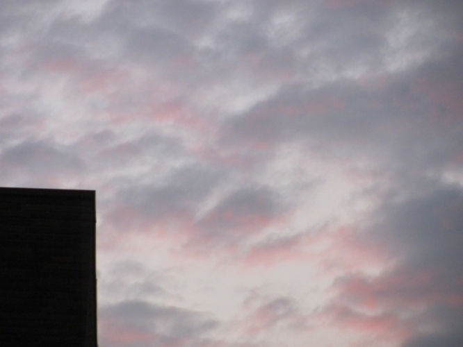 roze wolk
