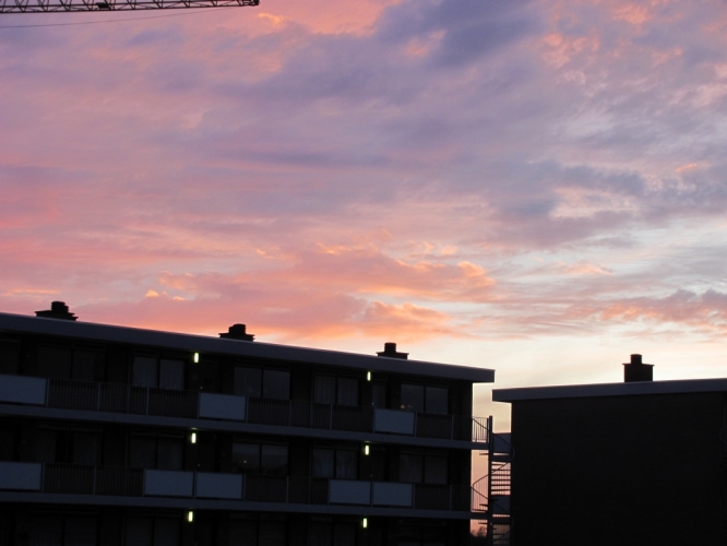 Picture_019.jpg