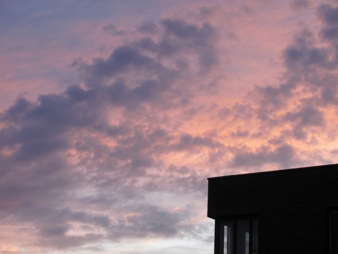 Picture_020.jpg