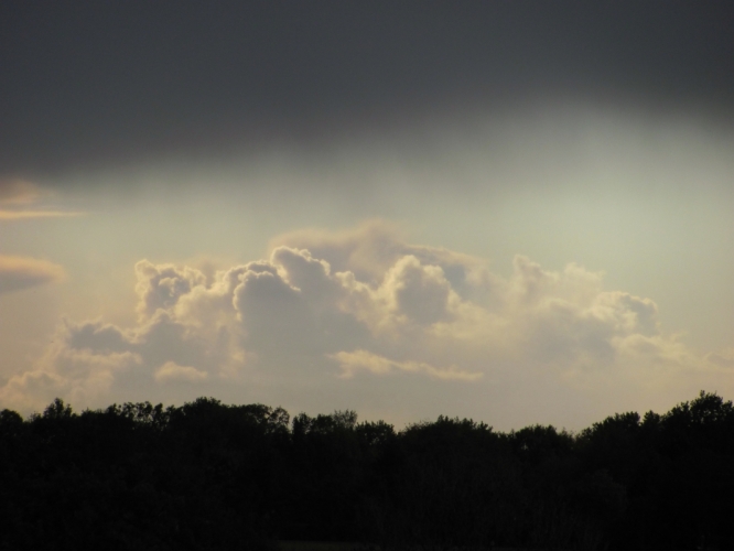 Picture_042.jpg