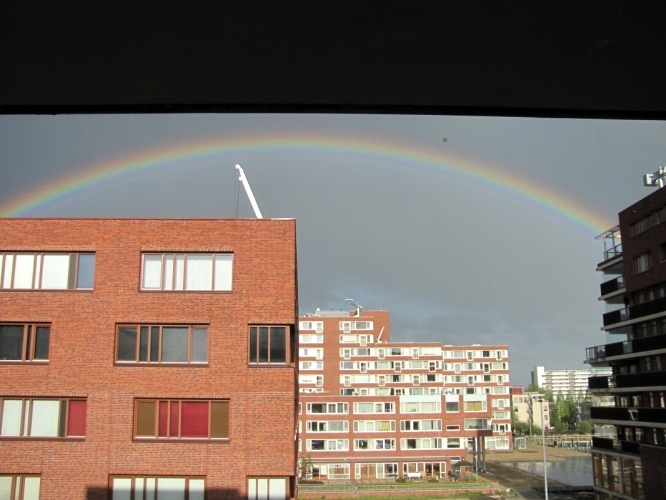 regenboog
