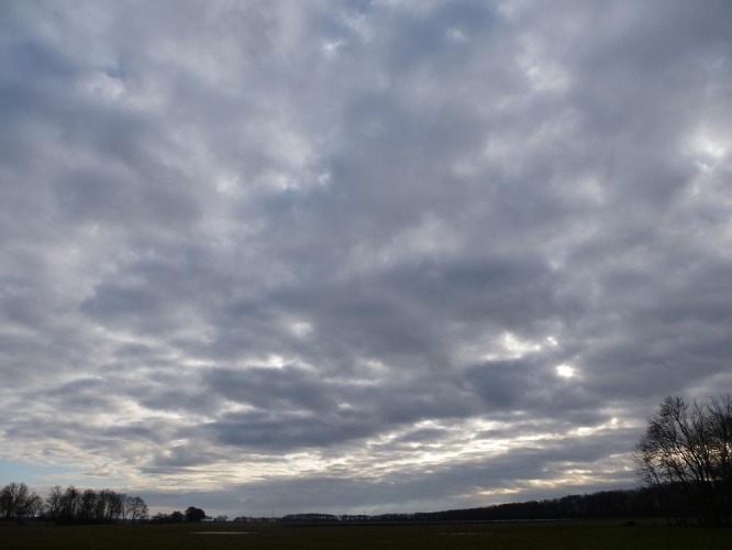 schokland, februari 2013
