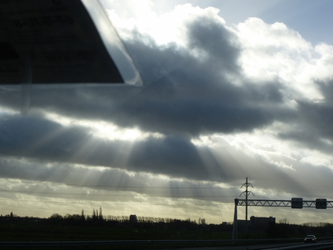 ritje naar de biesbosch
