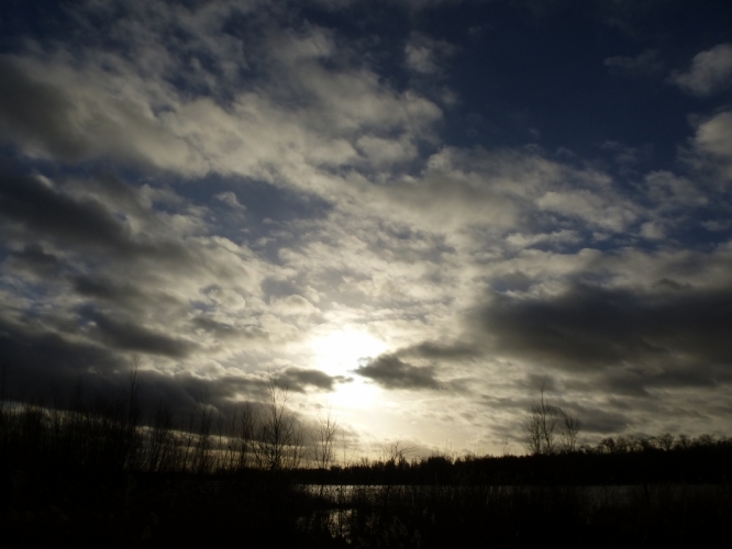 biesbosch
