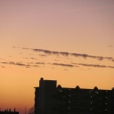 Picture_116.jpg