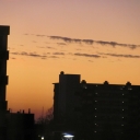 Picture_117.jpg