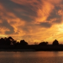 01-12-2011.JPG