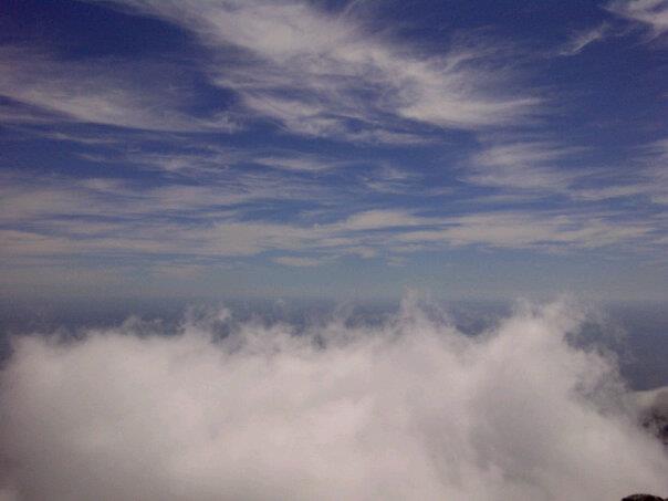 Tafelberg, Zuid Afrika, 17-03-'13
