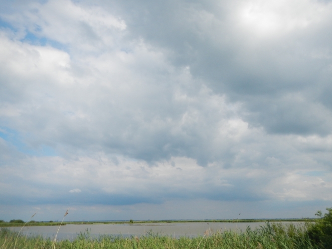 Durgerdam, zondag 10 juni 2012
