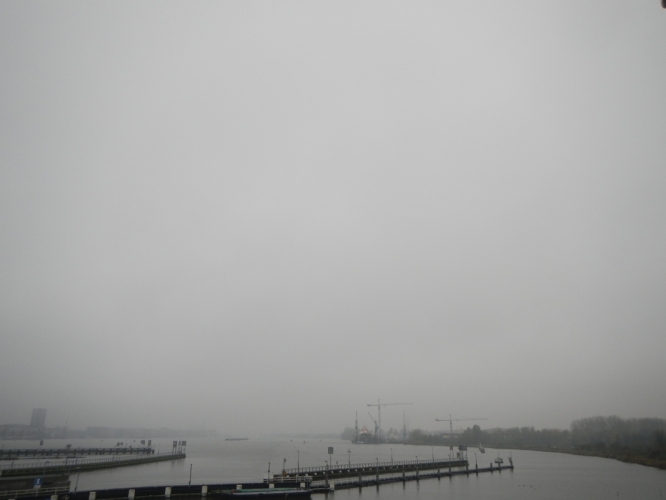 Het IJ, zaterdag 10 november, 11:04.
