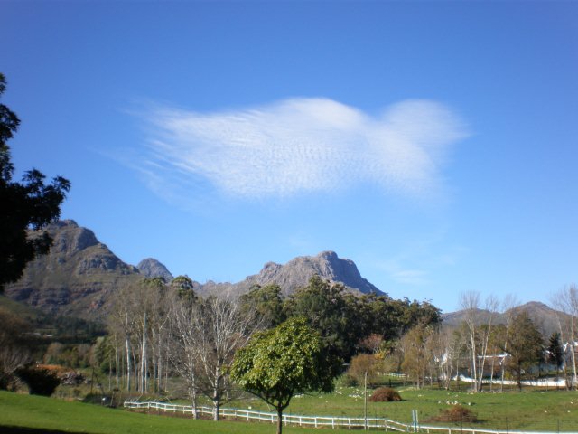 Stellenbosch 2012
